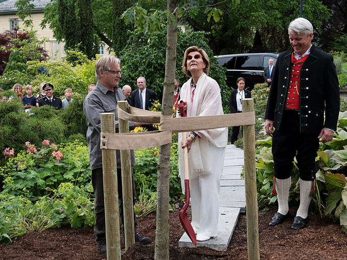 Dronning Sonja planta eit eiketre på Hjeltnes. Foto: Marit Hommedal / NTB scanpix